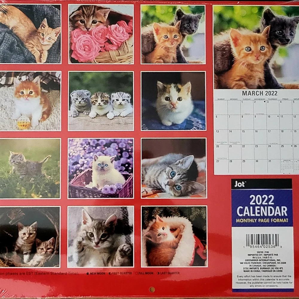 2022 Kittens 12-month Calendar